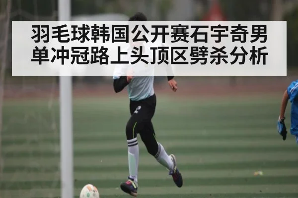 羽毛球韩国公开赛石宇奇男单冲冠路上头顶区劈杀分析